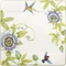 Villeroy & Boch Amazonia Vorschaubild