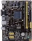 ASUS AM1M-A (AMD AM1) Vorschaubild