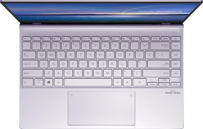 ASUS ZenBook 14 UM425IA-AM036T, Lilac Mist, Ryzen 7 4700U, 8GB RAM, 512GB SSD, DE