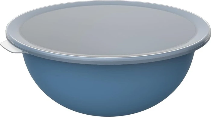 Rotho Caruba Schüssel mit Deckel 4.8l horizontblau