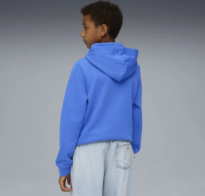 Puma ESS No. 1 Logo Fleece Hoodie mountain blue (Junior)