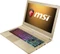 MSI GS60 2QEUi716SR51G Ghost Pro 3K Gold Edition, gold, Core i7-4720HQ, 16GB RAM, 512GB SSD, 1TB HDD, GeForce GTX 970M, DE Vorschaubild