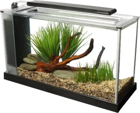 Fluval Spec 5 Aquarium schwarz,