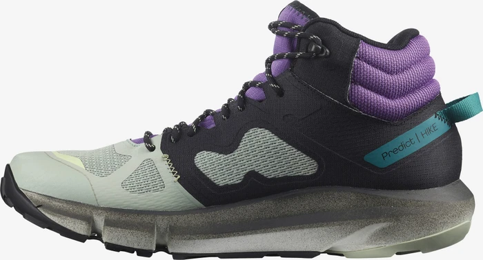 Salomon Predict Hike Mid GTX black/aqua gray/royal lilac (Herren)