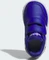 adidas Hoops royal blue/cloud white (Junior) Vorschaubild