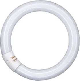 Osram Lumilux T9 32W/865 G10q