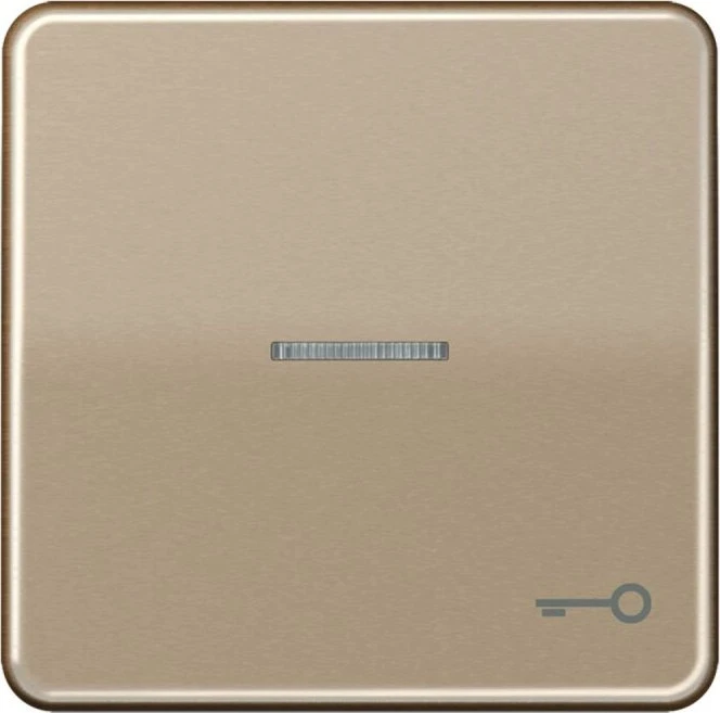 Jung Serie CD Wippe Metall mit Symbol "Tür" und Lichtleiter, gold-bronze