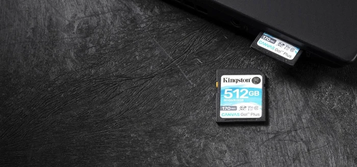 Kingston Canvas Go! Plus R170/W90 1TB, UHS-I U3, Class 10