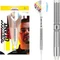 Target Gabriel Clemens G1 Softip Dartpfeil Set Vorschaubild