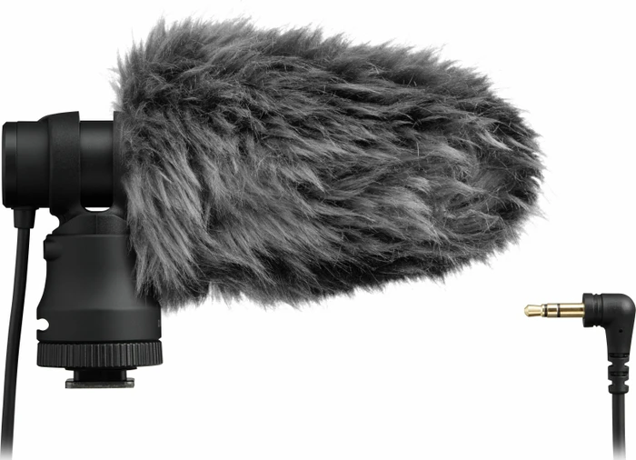 Canon DM-E100