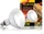 Exo Terra Solar Glo, Sonnenlicht simulierende Lampe, 160W (PT2193)