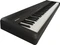 Roland FP-40 schwarz Vorschaubild