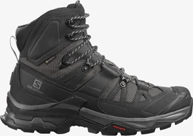 Salomon Quest 4 GTX magnet/black/quarry (Herren)