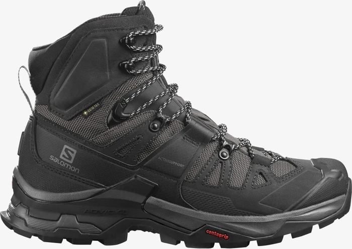 Salomon Quest 4 GTX magnet/black/quarry (Herren)