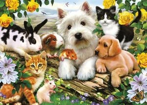 Ravensburger Puzzle Fröhliche Tierfreundschaft