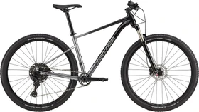 Cannondale Trail SL 4 grau Modell 2023