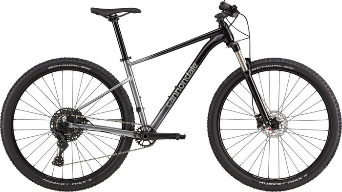 Cannondale Trail SL 4 grau Modell 2023