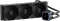 Ocypus Iota Vorschaubild