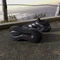 adidas Galaxy 8 core black/iron metallic/carbon (Damen) Vorschaubild