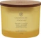 Chesapeake Bay Candle Strength + Energy Pineapple Coconut Duftkerze Vorschaubild