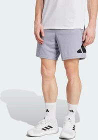 adidas Train Essentials Logo Training Trainingshose kurz silver violet/black (Herren)