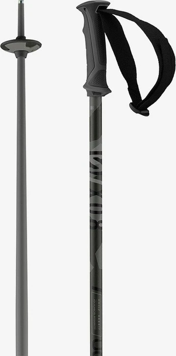 Salomon X 08 Alpin Skistock (Modell 2020/2021)