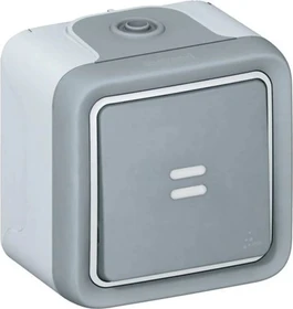 Legrand Plexo Wippschalter 1-polig Kontroll, grau