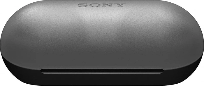 Sony WF-C500 schwarz