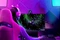 Razer Kiyo Pro Ultra Vorschaubild