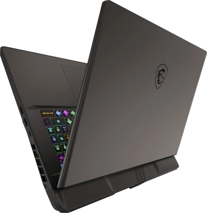 MSI Vector 17 HX A14VHG-1008, Cosmos Gray, Core i9-14900HX, 32GB RAM, 2TB SSD, GeForce RTX 4080, DE