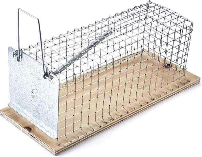 Swissinno Rattenkäfig SuperCat Lebend-Rattenfalle