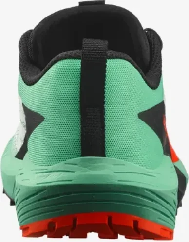 Salomon Sense Ride 5 bay/black/cherry tomato (Damen)