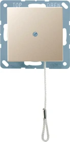 Jung Serie A Zug-Wechselschalter 10AX 250V, champagner