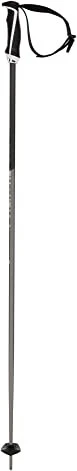 Völkl Phantastick 16mm Alpin Skistock weiß (Modell 2021/2022)