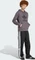 adidas Adicolor Classics Trefoil Hoodie grey strata (Herren) Vorschaubild