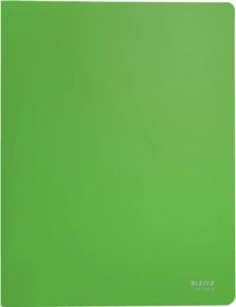 Leitz Sichtbuch Recycle, A4, grün, inkl. 20 Klarsichthüllen