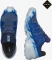 Salomon Speedcross 6 GTX blue print/ibiza blue/quarry (Herren) Vorschaubild