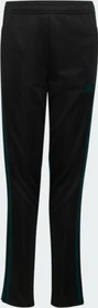 adidas Tiro 25 Essentials Trainingshose lang black/aurora ivy (Junior)