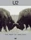 U2 - Best Of (DVD)