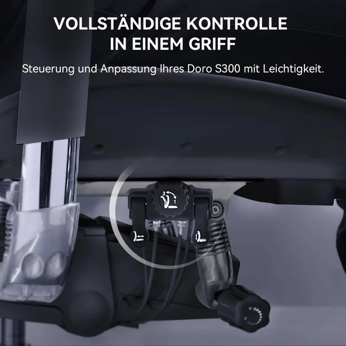 Sihoo Doro C300 Ergonomischer Bürostuhl, schwarz