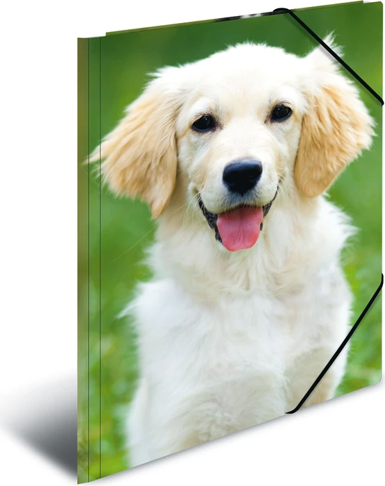 Herma Sammelmappe, A4, Tiermotiv Hunde, 3er-Pack
