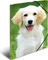 Herma Sammelmappe, A4, Tiermotiv Hunde, 3er-Pack Vorschaubild