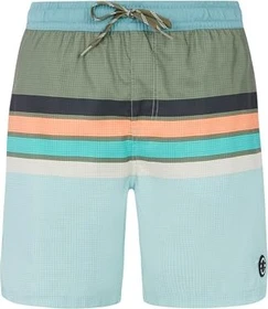 Protest Avik Badeshorts pale green (Herren)
