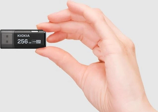 KIOXIA TransMemory U301 256GB schwarz, USB-A, USB 3.2 Gen 1×1