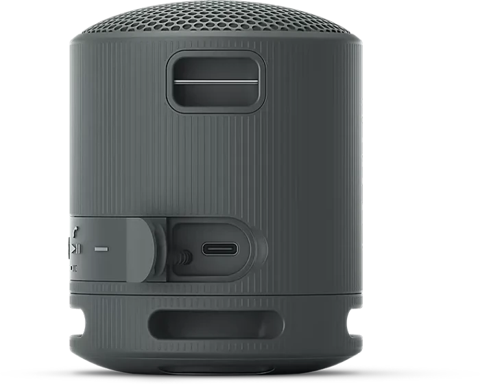 Sony SRS-XB100 schwarz