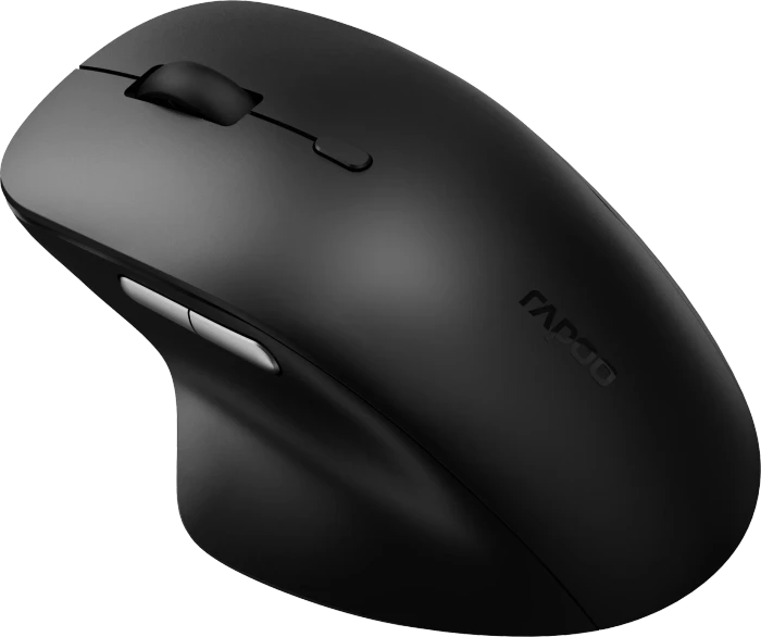 Rapoo M50 Plus Silent Wireless Mouse schwarz, USB