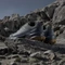 adidas Terrex Skychaser Ax5 Gore-Tex grey four/carbon/shadow navy (Herren) Vorschaubild