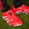 adidas Predator League Fold-Over Tongue MG lucid red/cloud white/core black Vorschaubild