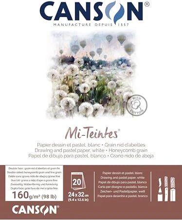 Canson Mi-Teintes Zeichenpapier, 240x320mm, glatt, weiß, 20 Blatt
