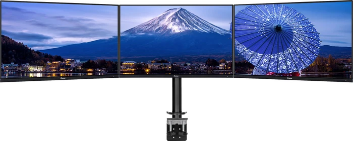 iiyama DS1003C-B1